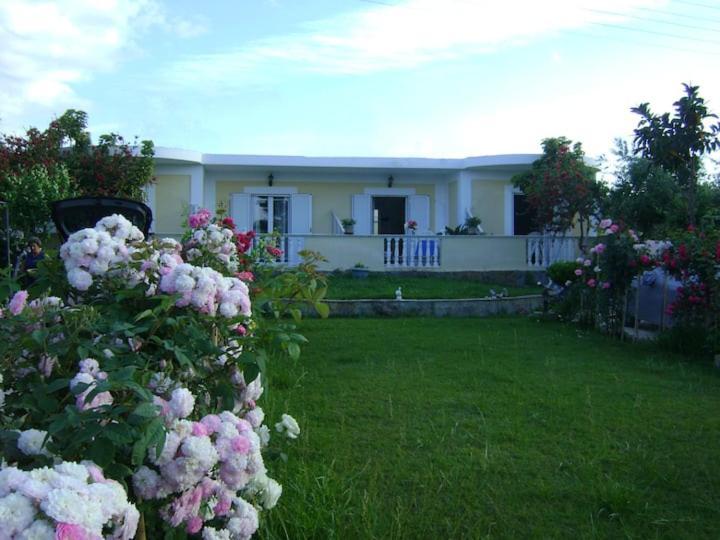 Zante Summer Retreats - Marietta'S Apartment2 Drosia Kypseli Extérieur photo